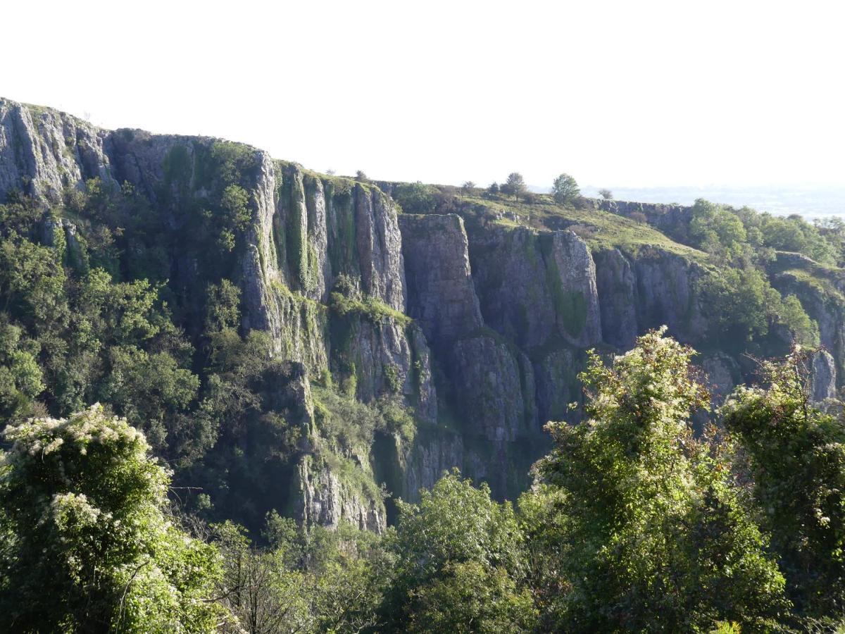 Pear Tree Cottages Wedmore Екстериор снимка